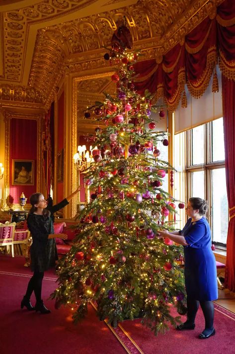 Nordmann Fir Christmas Tree, Castle Christmas, International Interior Design, Castle Decor, Interior Design London, Royal Christmas, Fir Christmas Tree, Christmas Concert, Days Before Christmas