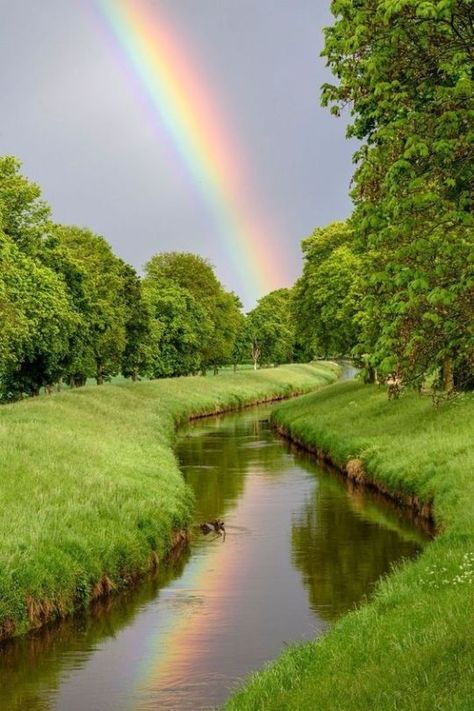 Arc En Ciel Aesthetic, Rainbow Photography Nature, Photo Ciel, Rainbow Promise, Rainbow Pictures, Rainbow Photography, Rainbow Painting, Rainbow Sky, Image Nature