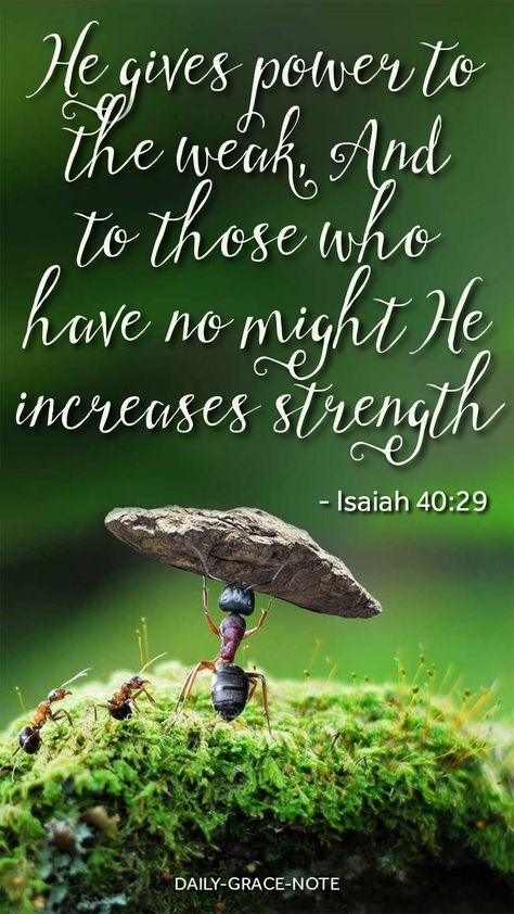 Greater Is He That Is In Me Scriptures, Isiah 40, Isaiah 40 29, Isaiah 29, Galatians 5 16, Inspirational Relationship Quotes, Authentically Me, Bible Journal Notebooks, Inspirational Quotes For Teens