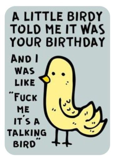 Sarcastic Happy Birthday, Sarcastic Birthday Wishes, Birthday Funnies, Birthday Greetings Funny, Funny Happy Birthday Wishes, Birthday Greetings Friend, Bday Wishes, Happy Birthday Quotes Funny, Birthday Memes