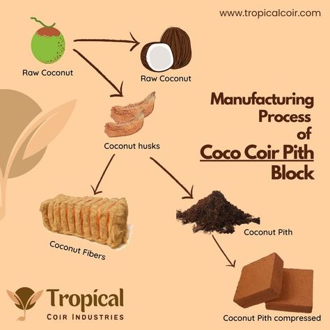 Making Process of Coco Peat / Coir Pith Grow your Plants by using our 100% Organic and Renewable Coco Peat / Coir Pith Blocks from Tropical Coir Industries. Contact Us - sales@tropicalcoir.com #CocoPith #CoirPith #CocoPeat #CoirPeat #Processed_Coconut_Husk #Processed_Coconut_Dust #Processed_Coir_Fiber #Processe_Coir_Compost #CoirFiberPith #CoirDust #CocoFiberPeat #CocoDust #PeatMoss #CocoPeatMoss #SoillessMix #Coco_Coir_Peat #coco #What_are_the_areas_Coco_can_be_used #tropical_coir Waste Material Products, Bamboo Greenhouse, Coco Peat, Vegetables In Pots, Growing Vegetables In Pots, Jade Bonsai, Diwali Photography, Coco Coir, Geodesic Domes