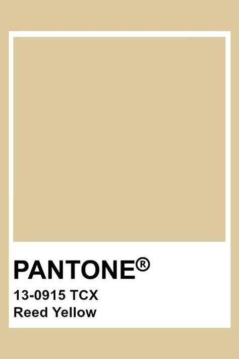 Pantone Reed Yellow #pantone #color #swatch #colorpalette #yellow Pantone Tcx, Pantone Colours, Yellow Pantone, Pantone Color Chart, Pantone Swatches, Pantone Palette, Color Pantone, Pantone Colour Palettes, Pantone Colors