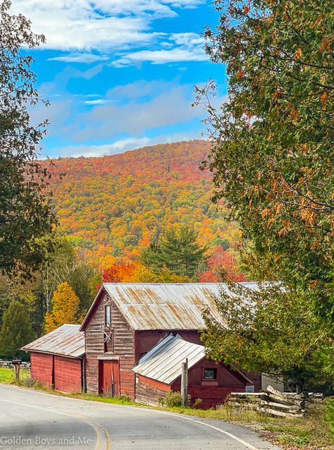 Winter Displays, Autumn Pics, Autumn Things, Autumn Pictures, Fall Scenery, Family Farmhouse, Diy Porch Swing, Rug Hooking Designs, Diy Home Projects