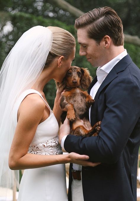 Dog Wedding Pictures, Dog Wedding Photos, Dachshund Wedding, Fun Facts About Dogs, Photos With Dog, Sausage Dogs, Funny Cats And Dogs, Dog Wedding, Wedding Picture