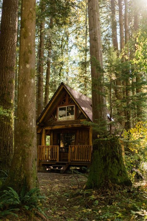 PNW Cabin Intimate Wedding on Skykomish River. Image by Forthright Photo. Cute Cabin Exterior, Whimsical Cabin In The Woods, Small Cabin In Woods, The Long Game Aesthetic, Deep Woods Cabin, Pnw Aesthetic Home, Old Cabin Aesthetic, Tiny Forest Cabin, Wood Cabin Aesthetic