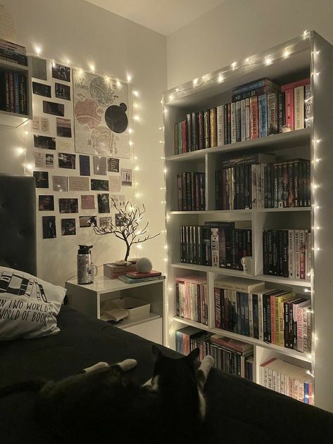 Small Corner Of Bedroom Ideas, Room Inspo Books, Room Ideas Dark Aesthetic, Book Aesthetic Room, Shelf Aesthetic, Casa Vintage, Study Room Decor, Indie Room, Redecorate Bedroom