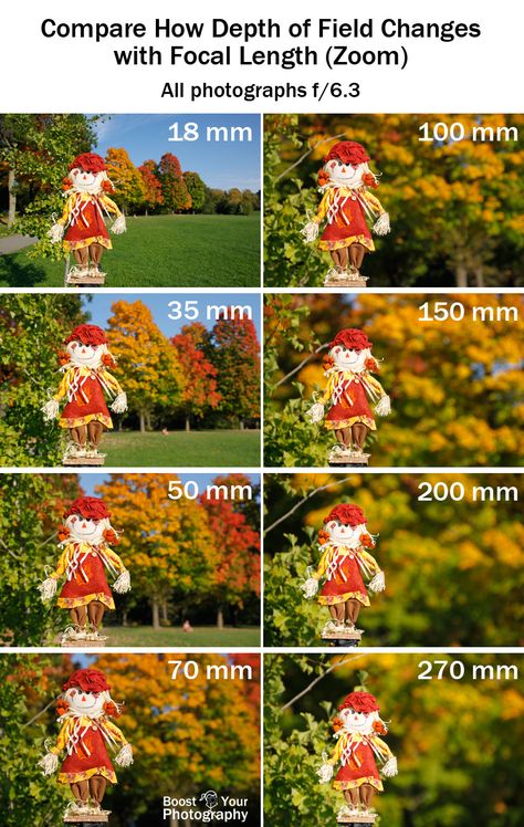 Depth of Field: it's more than just aperture | Boost Your Photography Photography Depth Of Field, Manual Photography, Digital Photography Lessons, Photography Settings, Photo Hacks, Photo Techniques, Photography Cheat Sheets, Camera Tips, Photography Help