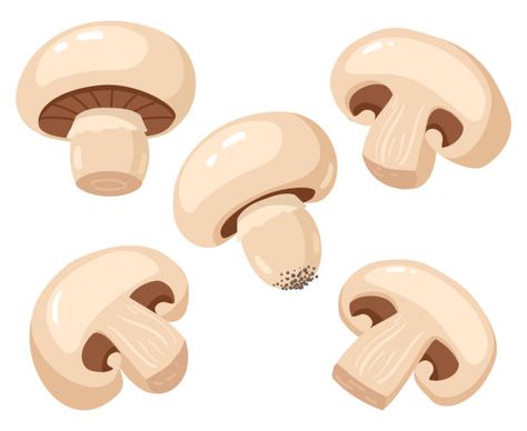 107,400+ Mushroom Stock Illustrations, Royalty-Free Vector Graphics & Clip Art - iStock | Growing mushrooms, Medicinal mushrooms, Mushroom isolated Jamur Kancing, Pizza Cartoon, Pizza Drawing, Mushroom Stock, Draw Food, Bored Games, Cartoon Mushroom, Mushroom Pizza, Mushroom Drawing