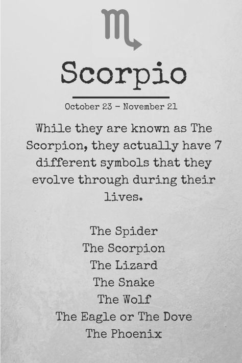 All About Scorpio, Zodiac Quotes Scorpio, Scorpio Art, Astrology Scorpio, Scorpio Traits, Scorpio Love, The Scorpio, Scorpio Zodiac Facts, Scorpio Quotes