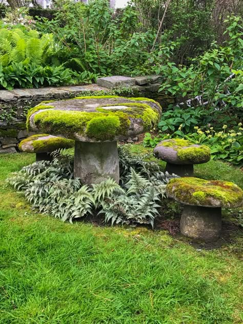 Inspiring Garden Design: Express Your Personality! Rockery Garden, Voyageurs National Park, Seaside Garden, Moss Covered, Moss Garden, Have Inspiration, Forest Garden, Magical Garden, Woodland Garden