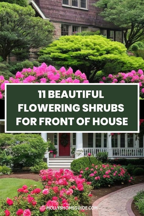 Enhance your front yard with the best flowering shrubs for a pop of color and texture! These gorgeous, low-maintenance bushes are perfect for landscaping, adding vibrancy all year round. Discover the top fragrant and vibrant shrubs for your outdoor space - from perennials to evergreens that bloom beautifully. Achieve a stunning curb appeal with these low growing, long-lasting beauties that are ideal for sunny spots. Front Of The House Flower Bed Ideas, Landscaping Shrubs Front Yard, Landscape Bushes Front Yard, Rose Bush Front Yard, Flowering Bushes For Front Of House, Foundation Plants For Front Of House, Hydrangea Bush Landscaping, Best Flowering Bushes For Full Sun, Encore Azaleas Landscaping Front Yards