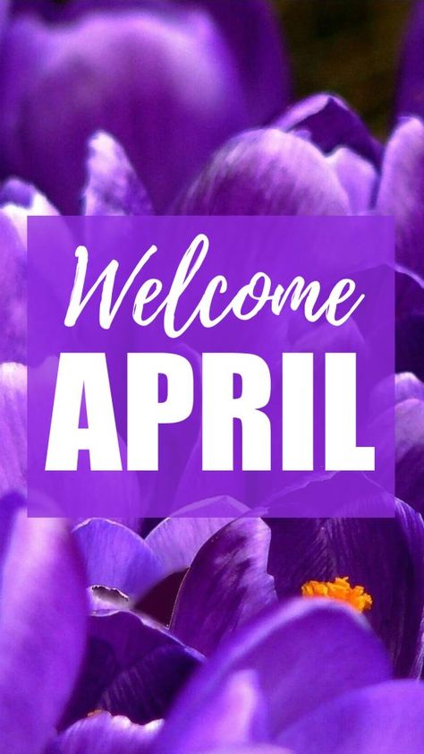 April Iphone Wallpaper, Iphone Wallpaper 2022, Flower Homescreen, Welcome April, April Wallpaper, Wallpaper 2022, Background Lockscreen, Calendar Background, Picture Background