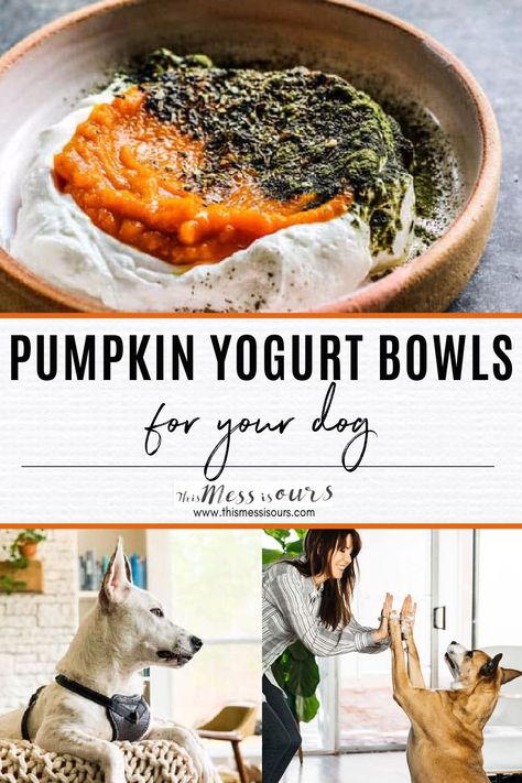 Breakfast is the most important meal of the day for all of us, even our dogs! Get your dog’s day off to a great start by feeding him/her a delicious Pumpkin and Yogurt Bowl for Dogs in the morning. These yogurt bowls are filled with good for your #dog ingredients like plain, fat free Greek yogurt, 100% pure pumpkin puree, plant based vitamin and mineral powder, and my Homemade #DogFood Seasoning which is a blend of 5 herbs that have extraordinary health benefits for your dog! #thismessisours Breakfast For Dogs Homemade, Breakfast Ideas For Dogs, Dog Breakfast Recipes, Greek Yogurt For Dogs, Breakfast For Dogs, Pumpkin Recipes For Dogs, Pumpkin For Dogs, Yogurt For Dogs, Puppy Recipes