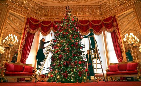 Prince William and Kate Middleton's London home and more royal residences decorated for Christmas: see photos - Photo 8 Christmas Classroom Treats, Castle Christmas, Royal Collection Trust, Royal Christmas, Reine Elizabeth, Merry Christmas Images, The Royal Collection, Royal Residence, Christmas Classroom