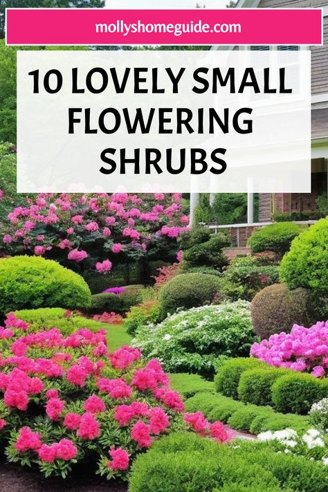 Discover a curated collection of the best small flowering shrubs perfect for adding color and vibrancy to your front yard. These amazing dwarf, compact, and low-growing flowering shrubs are ideal for small gardens or yards with partial shade. Choose from a selection of flowering evergreen shrubs that will enhance the beauty of your surroundings. Find the perfect shrub for your sunny front yard or brighten up the front of your house with these gorgeous options. Bushes For Front Yard, Small Flowering Shrubs, Flowering Evergreen Shrubs, Daphne Shrub, Flowers That Attract Butterflies, Shrubs For Landscaping, Low Growing Shrubs, Flowering Bushes, Best Perennials