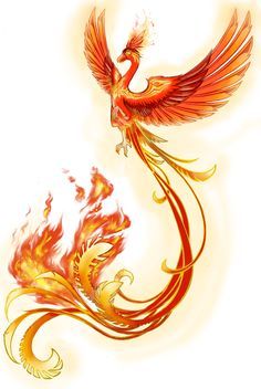 Tato Phoenix, Fenix Tattoo, Phoenix Drawing, Phoenix Tattoo Feminine, Small Phoenix Tattoos, Phoenix Bird Tattoos, Phoenix Artwork, Phoenix Images, Phoenix Dragon