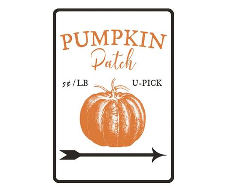 Found: The Best Affordable Fall Decor On Amazon - Brit + Co Pumpkin Patch Sign, Corn Maze, Tin Walls, Coffee Logo, Fall Signs, Hello Fall, Thanksgiving Decor, Cool Bars, Metal Plaque