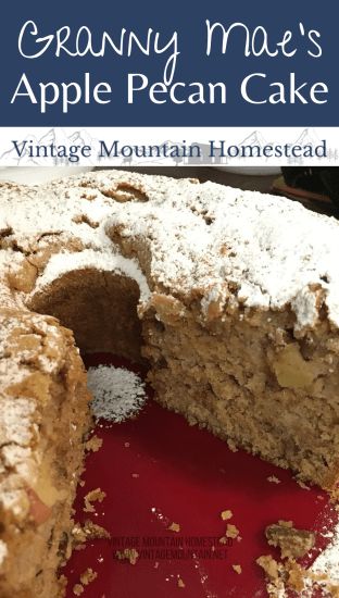 Apple Pecan Cake - One Acre Vintage Homestead Recipe Apple Pecan Cake Recipe, Vanilla Crescent Cookies, Apple Pecan Cake, Vintage Homestead, Traditional German Christmas, Banana Coffee Cakes, Crescent Cookies, Bakery Sweets, Cake Rolls