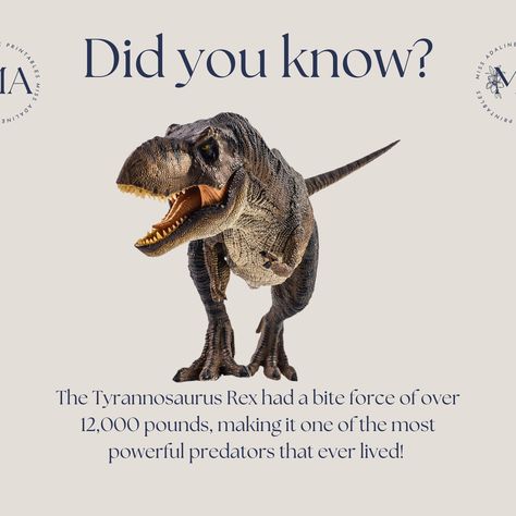 Did you know? The Tyrannosaurus Rex had a bite force of over 12,000 pounds, making it one of the most powerful predators that ever lived! Explore more amazing facts about dinosaurs with our Dino Valentines Workbook. #FunFactFriday #DinosaurFacts #MissAdalinePrintables Facts About Dinosaurs, Dino Valentines, Dinosaur Facts, Fun Fact Friday, Tyrannosaurus Rex, Amazing Facts, Toddler Learning, Most Powerful, Facts About