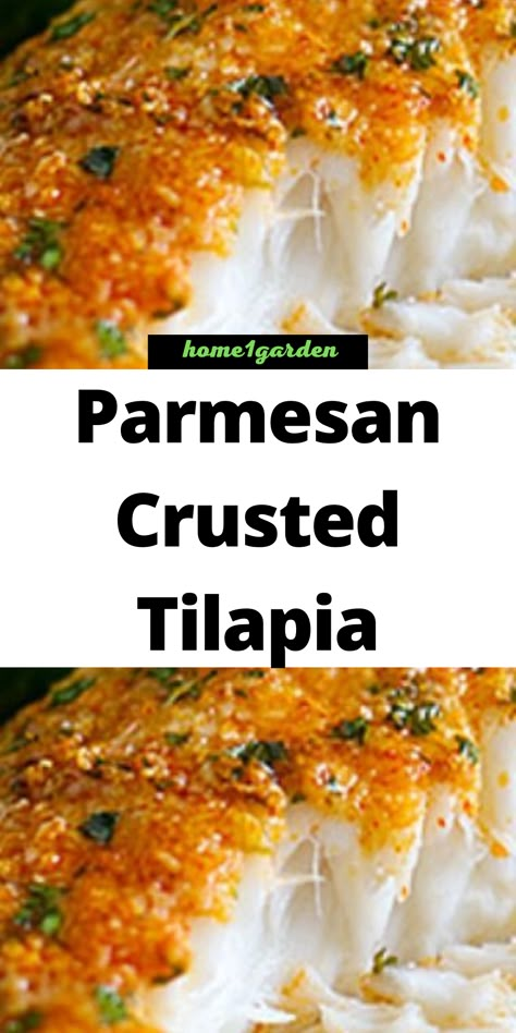 Best Tilapia, Tilapia Recipes Crusted, Crusted Talipia Recipes, Tilapia Recipes Oven, Tilapia Fillets Recipes, Low Carb Tilapia Recipes, Seasoning For Tilapia, Ww Tilapia Recipes, Talapia Ideas Meals