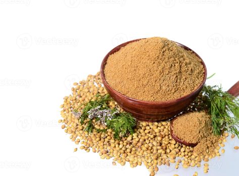 Coriander seeds, Fresh Coriander and Powdered coriander isolated on white background. Vietnamese Coriander, Coriander Plant, Growing Coriander, Plant People, Rose Brand, Vegetable Curry, Agriculture Farming, Something Nice, Coriander Powder