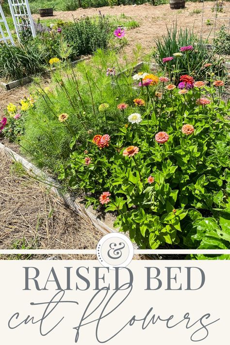 Raised Bed Flower Garden, Planting Flowers From Seeds, Colorful Flower Garden, Flower Garden Layouts, Garden Bed Layout, Growing Cut Flowers, Flower Garden Plans, Cut Flower Farm, Raised Flower Beds