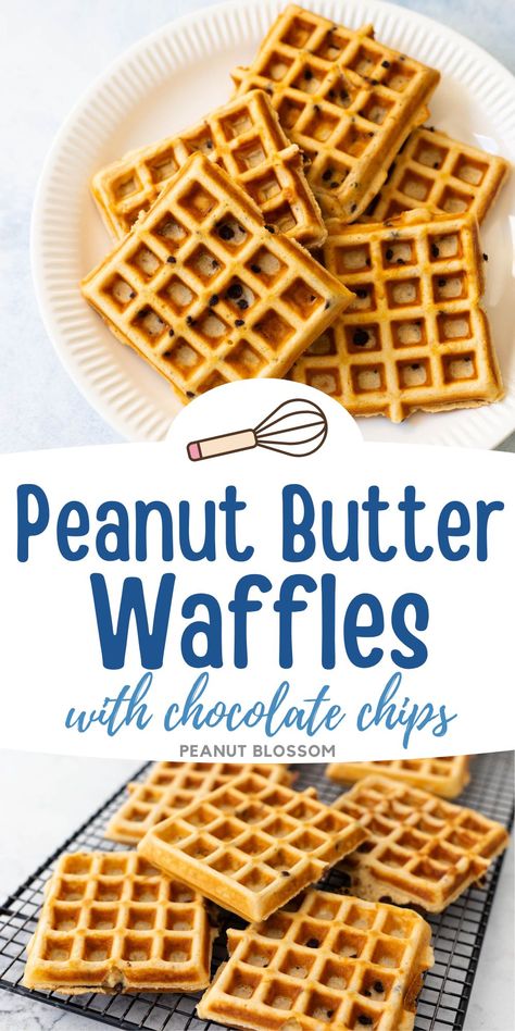 Mix in mini chocolate chips to this peanut butter waffles batter for a delicious freezer-friendly breakfast idea for the kids. Toast the waffles in the toaster and then spread with strawberry jam or a pat of warm butter. These waffles come out of the waffle iron so nice and crispy! Peanut Butter Chocolate Chip Waffles, Chocolate Peanut Butter Waffles, Peanut Butter Waffles Easy, Kids Waffles Ideas, Peanut Butter Waffle Recipe, Toddler Waffles, Waffles With Chocolate, Toaster Waffles, Freezer Friendly Breakfast