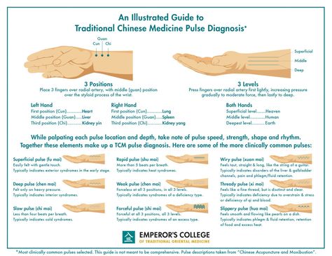 Chinese pulse diagnosis: When we take your pulse, we're looking a whole lot more than just beats per minute!! Pulse Diagnosis, Traditional Chinese Medicine Acupuncture, Tcm Traditional Chinese Medicine, Eastern Medicine, Internal Organs, Chinese Herbs, Acupuncture Points, Acupressure Points, Alternative Therapies