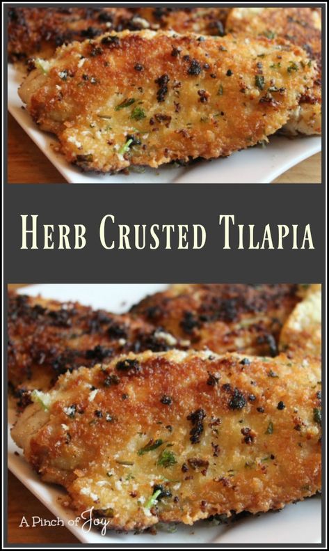 Tilapia Dinner, Tilapia Recipes Easy, Baked Tilapia Recipes, Bypass Recipes, Crusted Tilapia, Baked Tilapia, Fish Dinner Recipes, Tilapia Recipes, Oven Fried