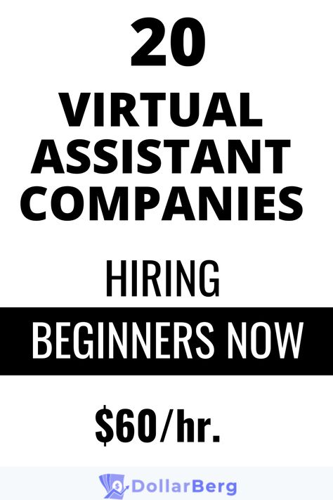 Are you a beginner looking for VA companies hiring beginners? Here are the best Virtual assistant companies that are hiring beginners and paying... #virtualassistant #virtualassistantservices #virtualassistantjobs #virtualassistanttools #virtualassistanttraining #virtualassistanttraining Virtual Assistant Tools, Virtual Assistant Training, Virtual Assistant Jobs, Company Job, Virtual Assistant Services, Jobs Hiring, Remote Jobs, Job Interview, Virtual Assistant