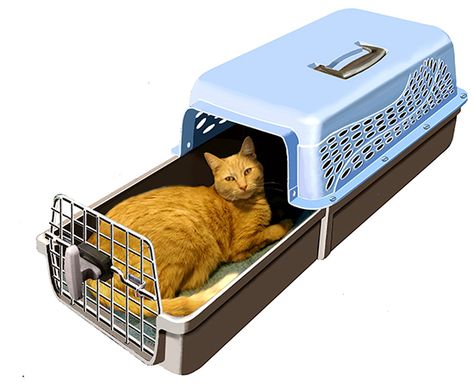 Check out this innovative Cat Carrier! This design offers a totally new way to get cats in and out of a carrier that’s much less stressful for both you and your cat! This new carrier has a unique slide-out drawer that allows you to place your cat inside and simply slide the drawer closed - no more shoving kitty through a small opening and fumbling with the door latch! Read more about it here: Cat Carrier Diy, Cat Seat, Cat Brain, Cat Furniture Diy, Cat Travel, Cat Products, New Cat, Cat Carrier, Cat Family