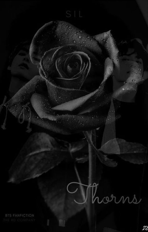 Black Roses Wallpaper, Black Rose Flower, Gothic Rose, Aesthetic Roses, Simple Aesthetic, Black Flowers, Black Aesthetic Wallpaper, Dark Photography, Rose Wallpaper