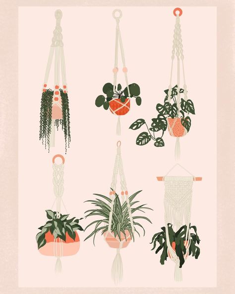 Jess (@jessprintdesigns) • Instagram photos and videos Macrame Illustration, Macrame Hanging Plants, Plant Clip Art, Plant Illustrations, Flat Design Illustration, Home Plants, Mac Wallpaper, Watercolor Plants, Bullet Journal Themes