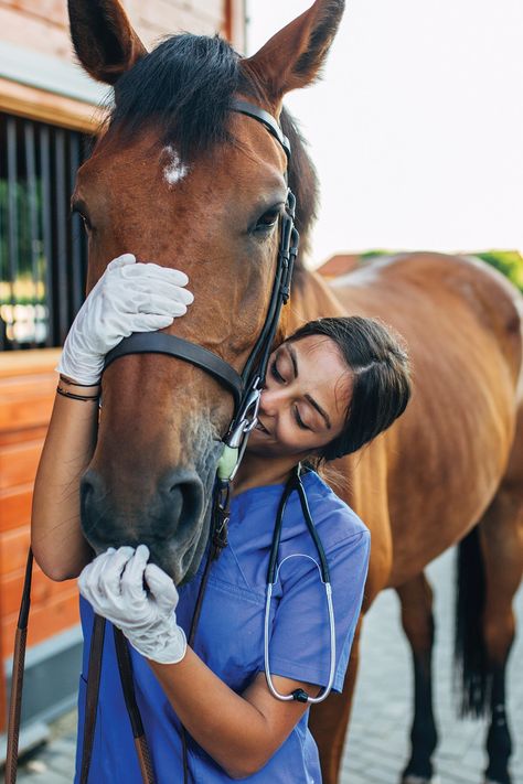 Vet Pictures, Vet School Motivation, Equine Veterinarian, Becoming A Veterinarian, Equine Veterinary, Veterinary School, Vet Medicine, Vet School, Vet Student