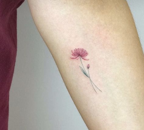 Cute Chrysanthemum Tattoo, Crysanthemum Tattoo Tiny, Mini Chrysanthemum Tattoo, Tattoo Ideas Chrysanthemums, Christanthium Flower Tattoo, Chrysanthemum Small Tattoo, Crysanthemum Tattoo Colored, Chrysanthemum Tattoo Minimalist, Delicate Chrysanthemum Tattoo