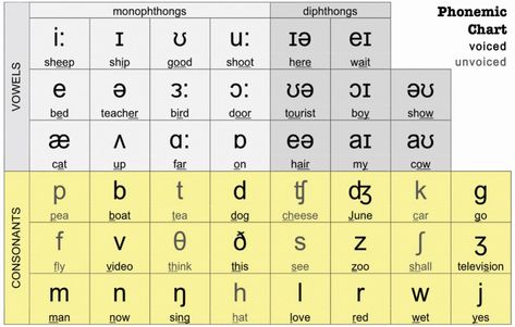 Phonetic Symbols in the English IPA - EklavyaParv Ipa Symbols Phonetic Alphabet, Ipa Phonetic Alphabet, Phonetic Symbols English, Phonetics English Rules, English Phonetic Alphabet, Ipa Phonetics, British Pronunciation, Phonetics English, Phonetic Symbols