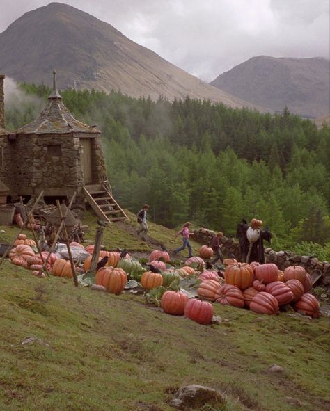 Fall Vibes Harry Potter, Harry Potter In Prisoner Of Azkaban Aesthetic, Halloween Harry Potter Aesthetic, Scary Fall Aesthetic, Harry Potter Aesthetic Halloween, Autumn Aesthetic Harry Potter, Autumn Harry Potter Aesthetic, Harry Potter Night Aesthetic, Autumn Aesthetic Movies