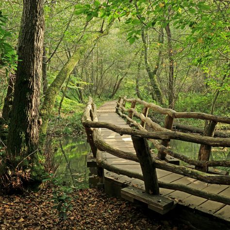 woodland pathway by Kevin Richardson - Purchase prints & digital downloads. A woodland scene with a rickety old bridge and a footpath through the trees Folio Ideas, Farm Retreat, Retreat Centre, Sketch Reference, Scenery Art, Kevin Richardson, Nature Sketch, Future Vision, Tree Images