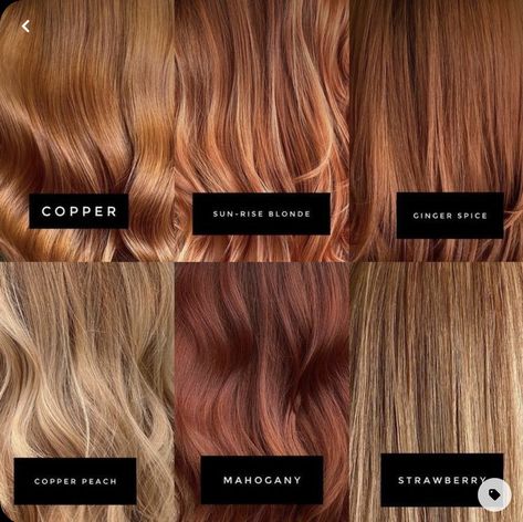 Copper Blonde Hair, Cheveux Oranges, Red Hair Inspo, Ginger Hair Color, Hair Color Auburn, Strawberry Blonde Hair, Hair Stylies, Hair Shades, Auburn Hair