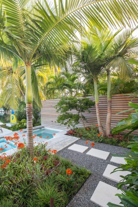 Tropical Pool Landscaping, Landscaping Around Pool, Florida Backyard, Tropical Backyard Landscaping, Tropical Landscape Design, Florida Pool, Florida Landscape, Florida Landscaping, Swimming Pool Landscaping