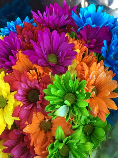 Colorful Daisies Gerbera Bouquet, Colorful Daisies, Colorful Flowers Arrangements, Daisy Wedding Flowers, Bouquet Images, Daisy Bouquet, Birthday Flower, Morning View, Unique Acrylic Nails