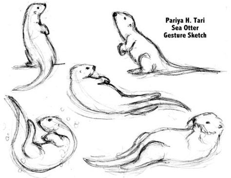 Pix For > Cute Sea Otter Drawing | ollie the otter | Pinterest ... Otter Sketch Easy, Sea Otter Tattoo Simple, Sea Otter Drawing Easy, Otter Drawing Simple, Otter Tattoo Simple, Otter Doodle, Cute Otter Drawing, Otter Sketch, Sea Otter Drawing