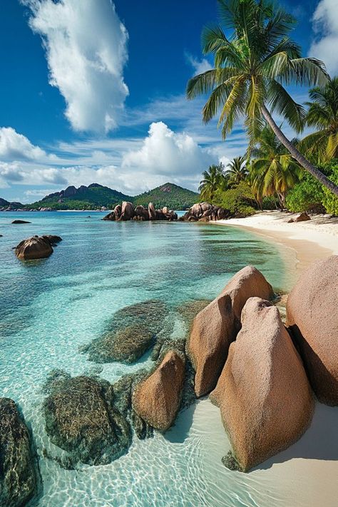 Unwind on the Secluded Beaches of Seychelles 🏝✨ Discover the untouched beauty of Seychelles' secluded beaches. Enjoy the pristine white sands, crystal-clear waters, and lush tropical surroundings for a peaceful and private escape. Perfect for a serene and romantic getaway. 🌿🌊 #SeychellesBeaches #TropicalParadise #SecludedEscape #TravelInspiration Seychelles Beach, Seychelles Islands, Taylor Swift Wallpapers, Coral Sea, Exotic Places, Water World, Secluded Beach, Beautiful Landscape Wallpaper, Romantic Getaway