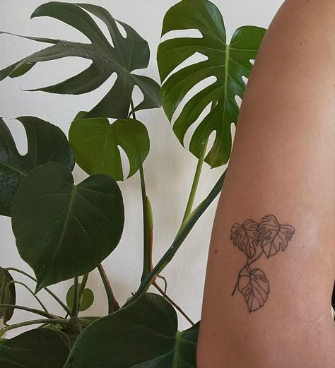 Simplistic Frog Tattoo, Monteras Plant Tattoo, Plant Tattoo Aesthetic, Tattoo Ideas Artsy, Cool Plant Tattoos, Back Plant Tattoo, Monstera Deliciosa Tattoo, Small Plant Tattoo, Monstera Aesthetic