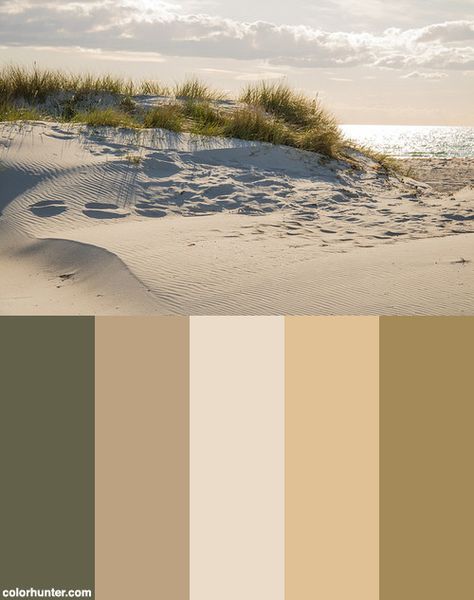 The Sandy Beach Color Scheme from colorhunter.com Sand Color Pallete, Sandy Colour Palette, Sand Pallete Color, Vintage Beach Color Palette, Sand Color Outfit, Sandy Color Palette, Bathroom Sand Color, Beach Colour Palette, Sand Color Palette