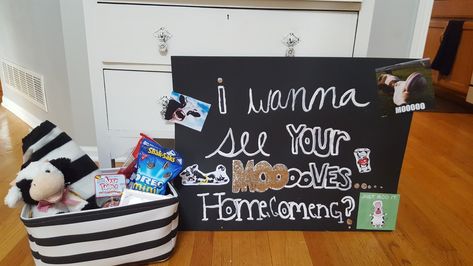 Cow-theme Homecoming proposal- My daughter and her boyfriened have a joke about Cows.. so she thought that would be creative way to ask him to HER HS homecoming. Cow Homecoming Proposal Ideas, Cow Themed Promposal, Cow Hoco Proposal, Cow Promposal Ideas, Cow Promposal, Country Homecoming Proposal, Prom Invites, Homecoming Poster Ideas, Cute Hoco Proposals