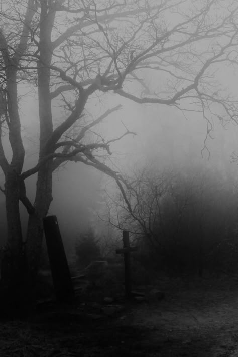 Creepy Fog, Dark Core, Dark Naturalism, I Know Places, Dark Forest Aesthetic, Foggy Weather, Dark Castle, Forest Aesthetic, Wallpapers Widgets