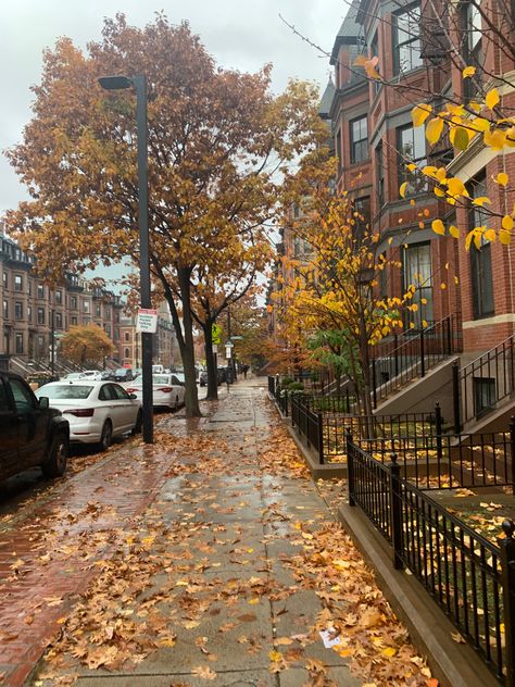 Autumn, style, 2022 fashion, fall season, fall fashion, leaves, autumn photography, chic style Autumn In America, Boston During Fall, 2022 Fall Aesthetic, Chic Autumn Aesthetic, Autumn In The Uk, Kayla Season, I Am An Autumn, Ashley Season, Fall 2024 Aesthetic