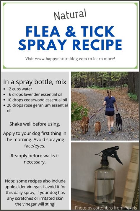 Homemade Tick Repellent, Tick Repellent For Dogs, Homemade Flea Spray, Flea Spray For Dogs, Dog Flea Remedies, Tick Spray For Dogs, Flea Remedies, Flea Repellent, Pet Remedies