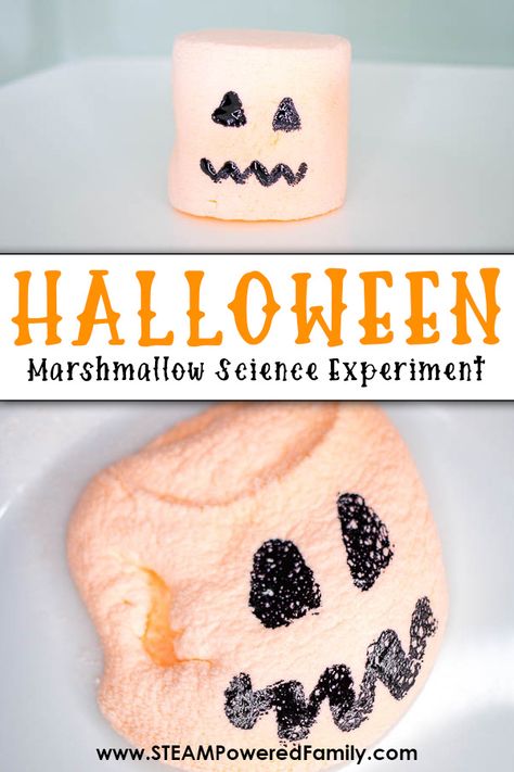 Halloween Marshmallow Science Experiment November Science Experiments Preschool, Halloween Experiments For Preschool, Marshmallow Treat Ideas, Easy Halloween Science Experiments, Marshmallow Science, Halloween Experiments For Middle School, Halloween Science Preschool, Spider Web Slime Recipe, Halloween Science Experiments For Kids